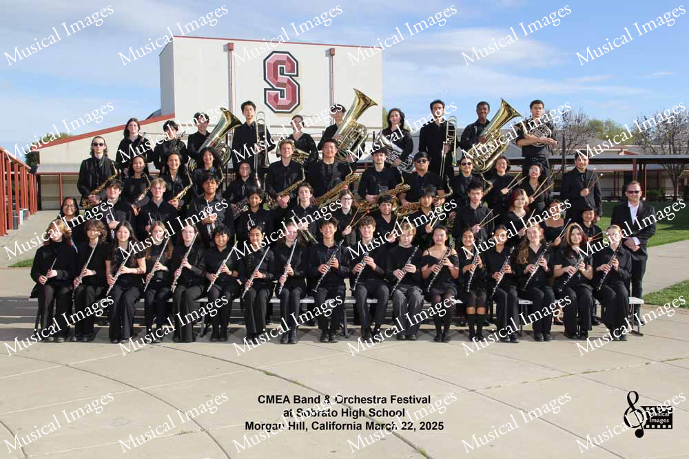 Musical Images